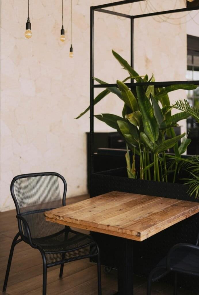 Modern indoor dining area featuring wooden table and lush green houseplants.